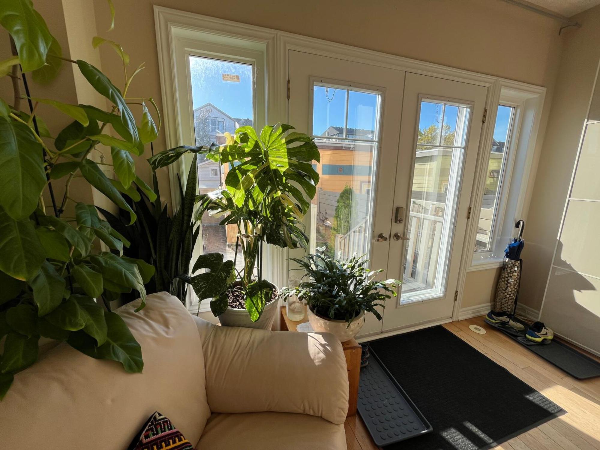 Stunning Rooms In Townhouse Across The Beach 多伦多 外观 照片
